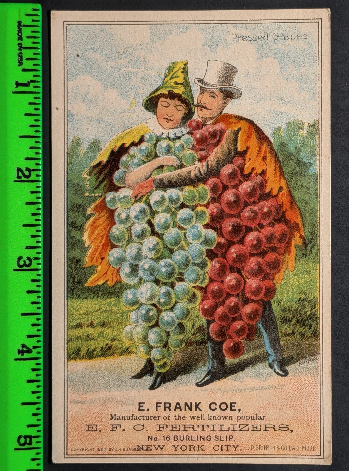 Vintage Man Woman Grapes Fertilizer New York Trade Card