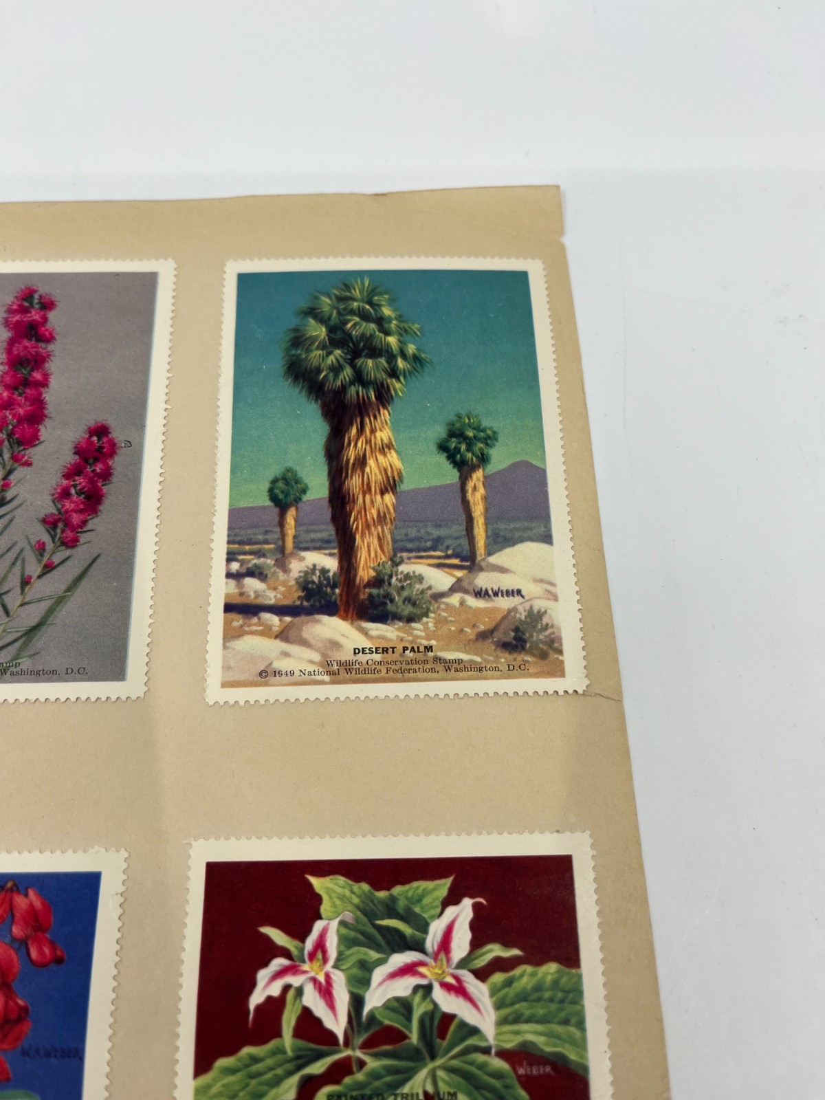 1951 National Wildlife Federation Wildlife Stamp Prints Birds Flowers Stamp Lot